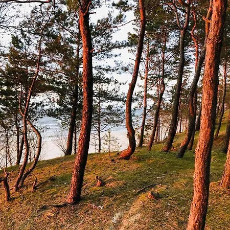 Skowronki Lodge Kąty Rybackie