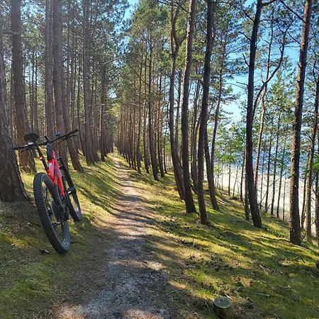 Skowronki Kąty Rybackie