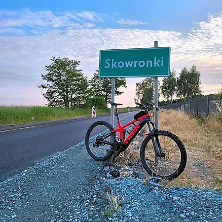 Skowronki