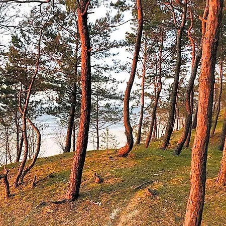 Skowronki Lodge Kąty Rybackie