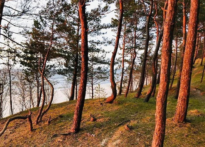 Skowronki Lodge Kąty Rybackie