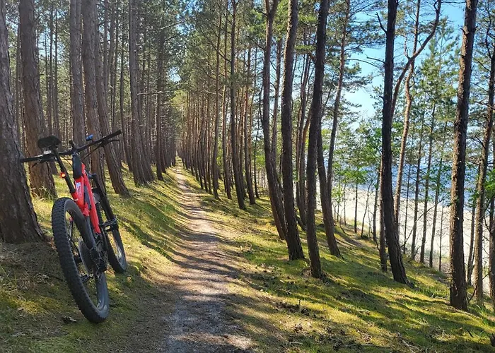 Skowronki Kąty Rybackie
